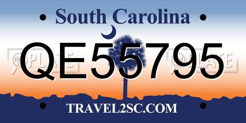 QE55795 South Carolina License Plate