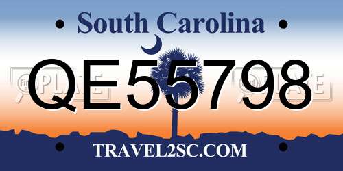 QE55798 South Carolina License Plate