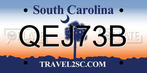 QEJ73B South Carolina License Plate