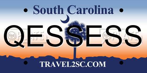 QESSESS South Carolina License Plate