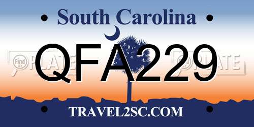 QFA229 South Carolina License Plate