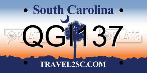 QGI137 South Carolina License Plate
