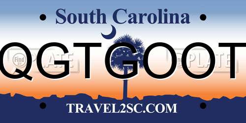 QGTGOOT South Carolina License Plate