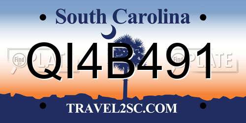QI4B491 South Carolina License Plate