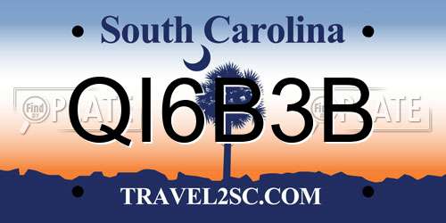 QI6B3B South Carolina License Plate