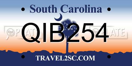 QIB254 South Carolina License Plate