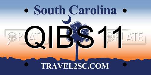 QIBS11 South Carolina License Plate