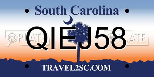 QIEJ58 South Carolina License Plate