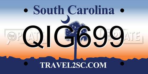 QIG699 South Carolina License Plate