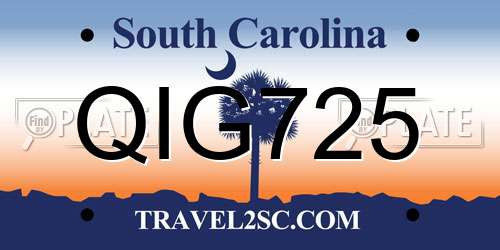 QIG725 South Carolina License Plate