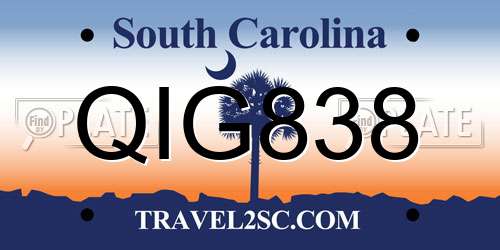 QIG838 South Carolina License Plate