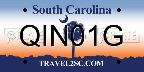 QIN01G South Carolina License Plate