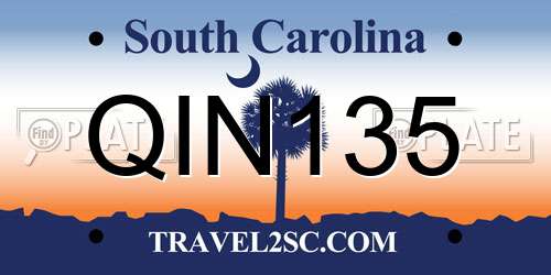 QIN135 South Carolina License Plate