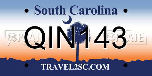 QIN143 South Carolina License Plate