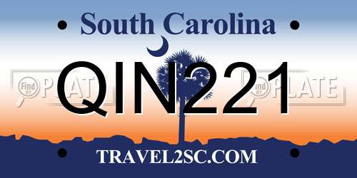 QIN221 South Carolina License Plate