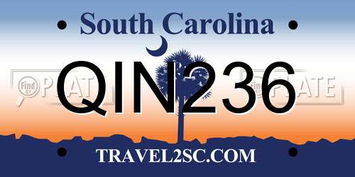 QIN236 South Carolina License Plate