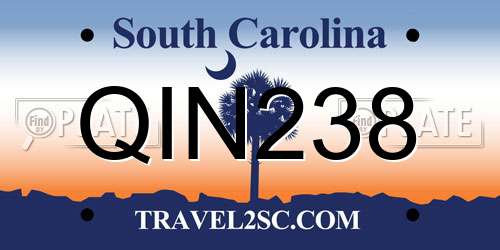 QIN238 South Carolina License Plate