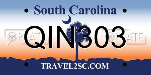 QIN303 South Carolina License Plate