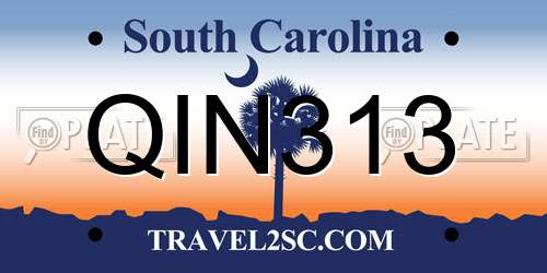 QIN313 South Carolina License Plate