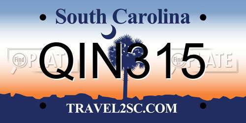 QIN315 South Carolina License Plate