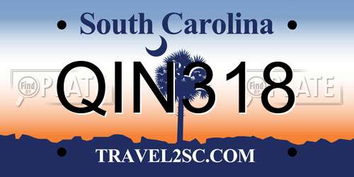 QIN318 South Carolina License Plate