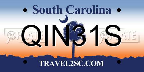 QIN31S South Carolina License Plate