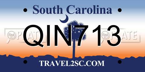 QIN713 South Carolina License Plate