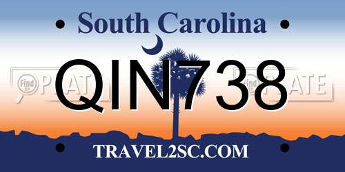 QIN738 South Carolina License Plate