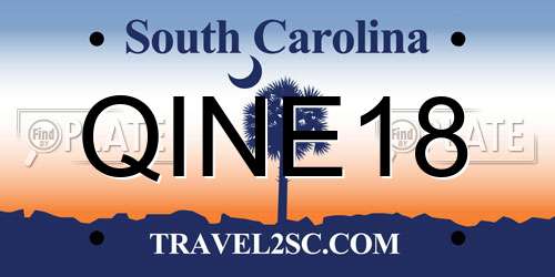 QINE18 South Carolina License Plate