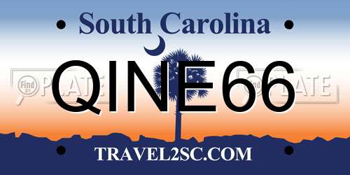 QINE66 South Carolina License Plate