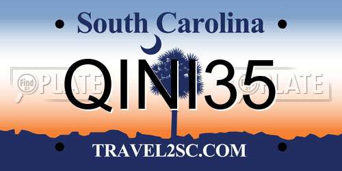 QINI35 South Carolina License Plate