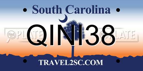 QINI38 South Carolina License Plate