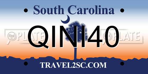 QINI40 South Carolina License Plate