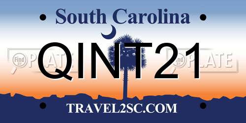 QINT21 South Carolina License Plate