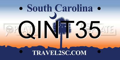 QINT35 South Carolina License Plate