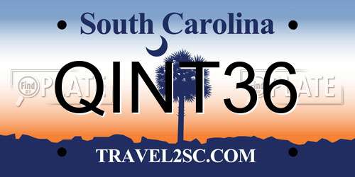 QINT36 South Carolina License Plate