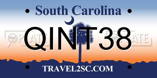 QINT38 South Carolina License Plate