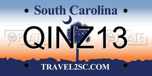 QINZ13 South Carolina License Plate