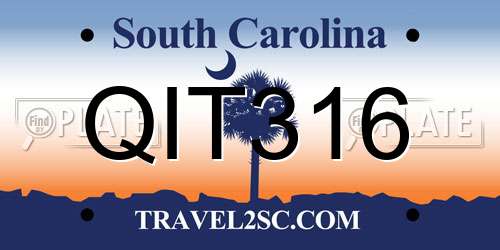 QIT316 South Carolina License Plate