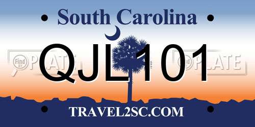 QJL101 South Carolina License Plate