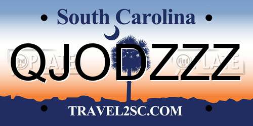 QJODZZZ South Carolina License Plate