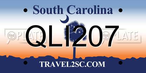 QLI207 South Carolina License Plate