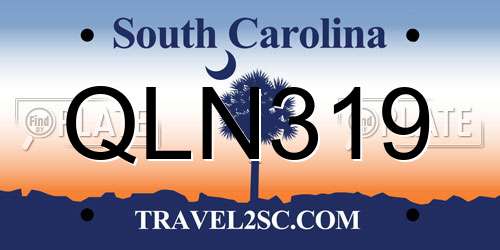 QLN319 South Carolina License Plate