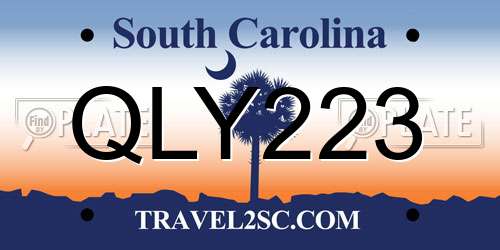 QLY223 South Carolina License Plate