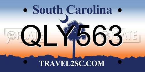QLY563 South Carolina License Plate