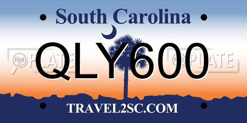QLY600 South Carolina License Plate