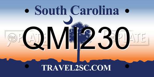 QMI230 South Carolina License Plate