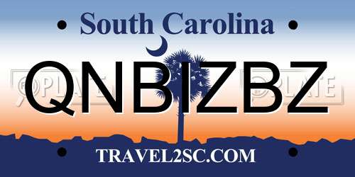 QNBIZBZ South Carolina License Plate