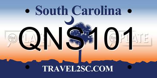 QNS101 South Carolina License Plate