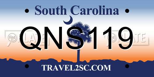 QNS119 South Carolina License Plate